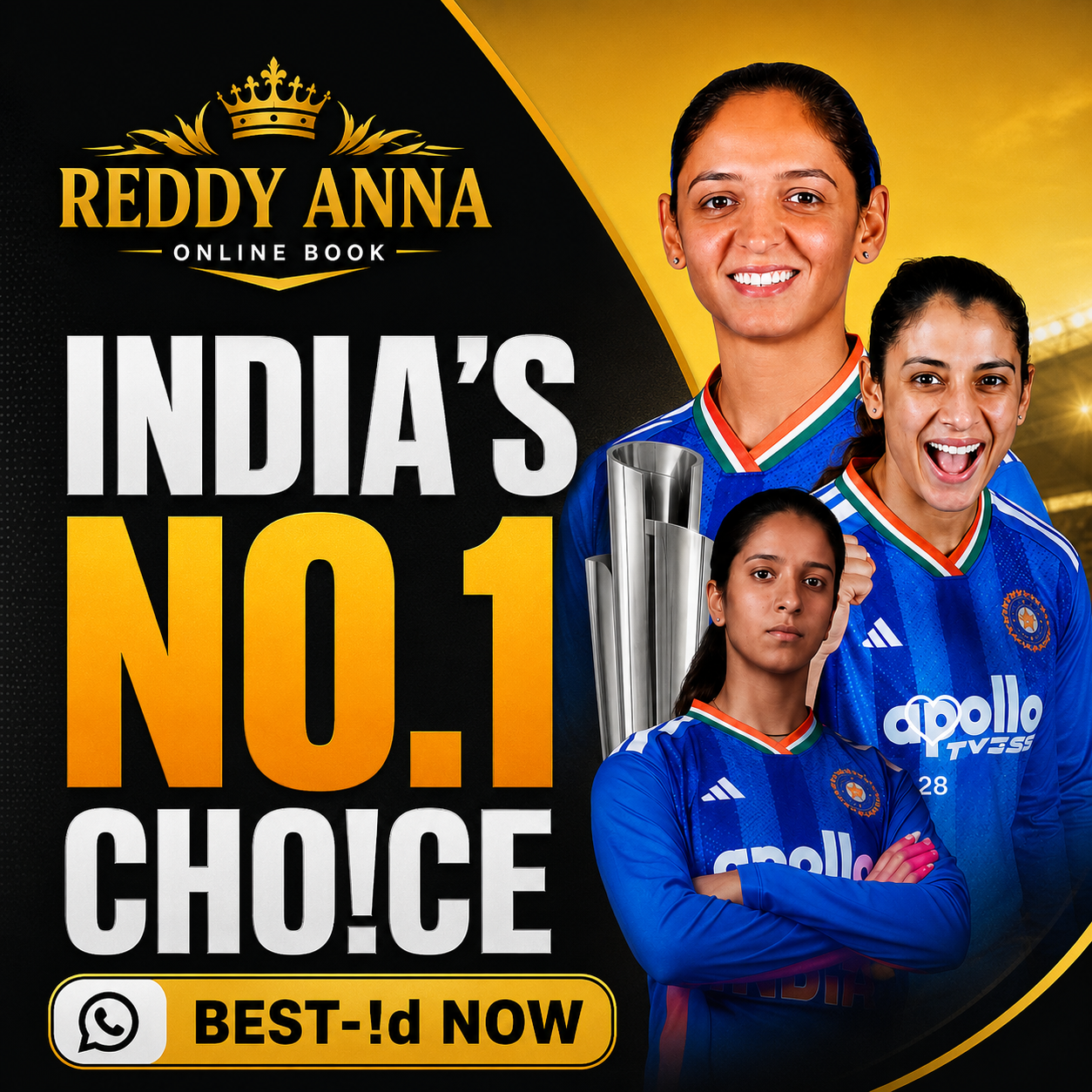 Cricket Banner